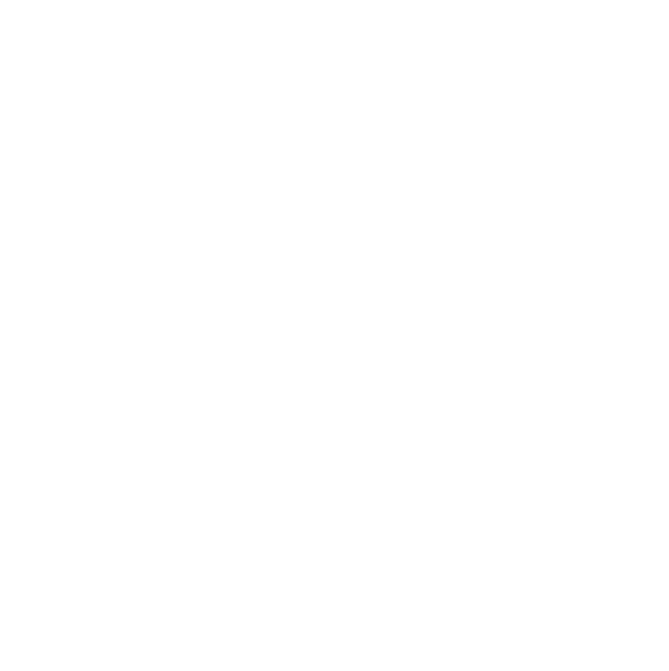 FZ GmbH